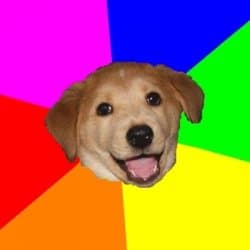 Advice Dog
