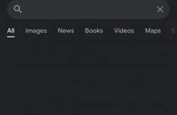 Fake search