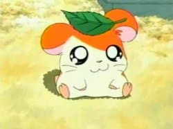 Hamtaro