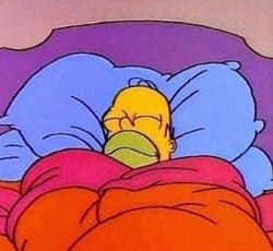 Homer Simpson sleeping peacefully