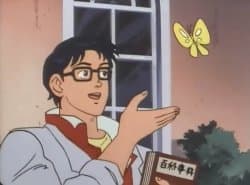 Is this a bird_