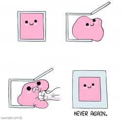 Pink Blob In the Box